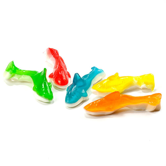 Gummy sand sharks